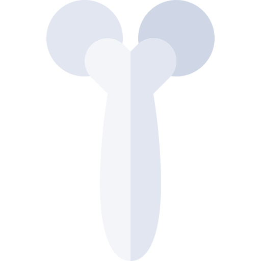 gesichtswalze Basic Rounded Flat icon