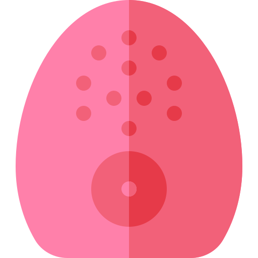 faciale Basic Rounded Flat Icône