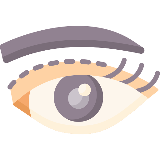 Eyelid Special Flat icon