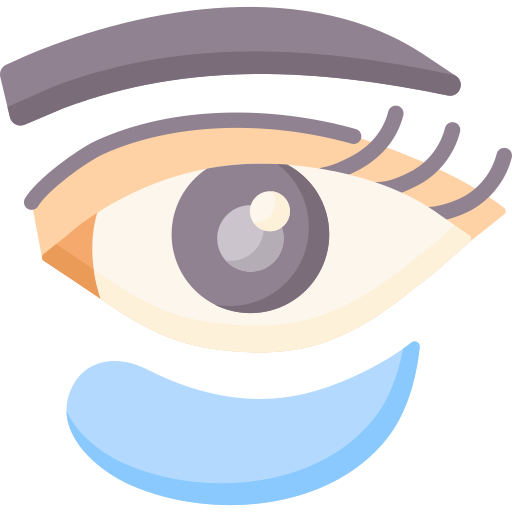 Eye patch Special Flat icon