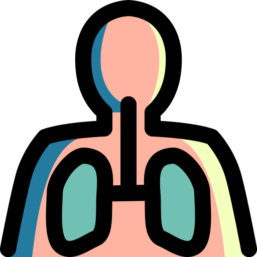 pulmones Generic Outline Color icono