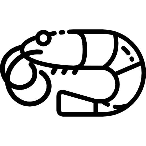 krewetka Special Lineal ikona