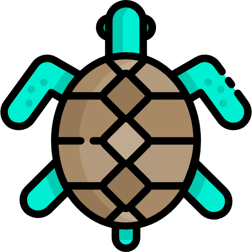 Turtle Special Lineal color icon