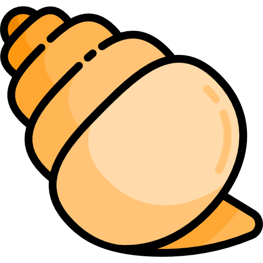 Conch shell Special Lineal color icon