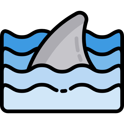 Shark Special Lineal color icon