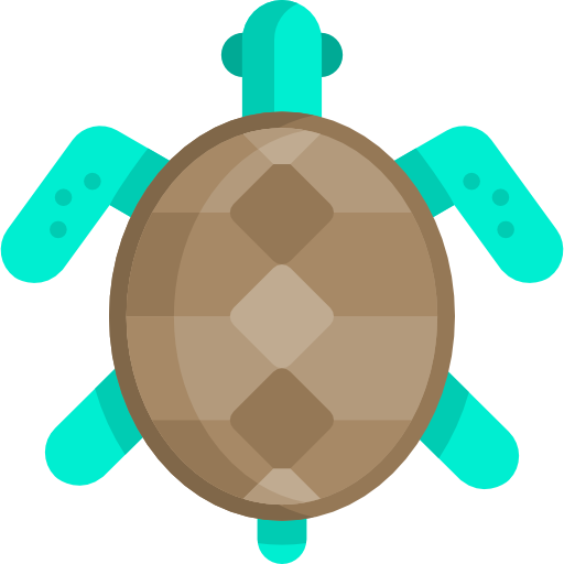 tartaruga Special Flat Ícone