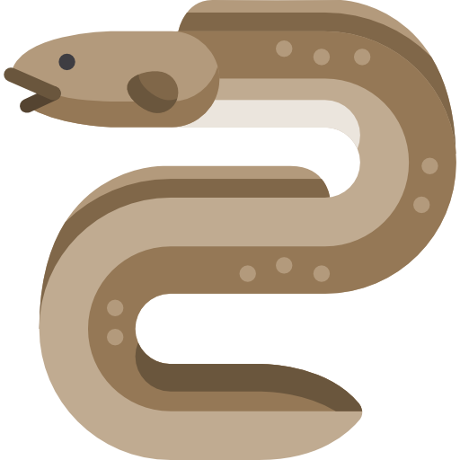 Eel Special Flat icon