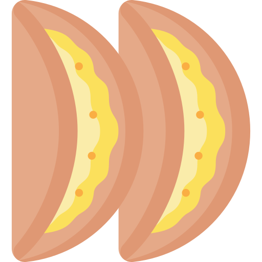 dosa Special Flat icon