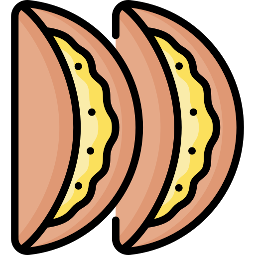 dosa Special Lineal color icon