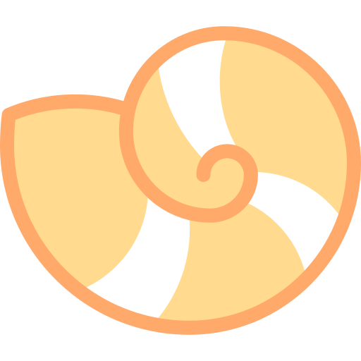 caracol de mar Detailed color Lineal color icono