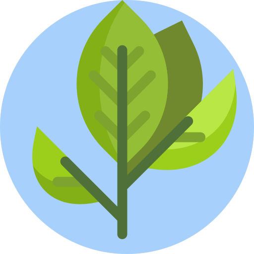 Tea leaf Detailed Flat Circular Flat icon