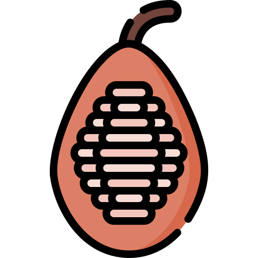 cacao Special Lineal color icono