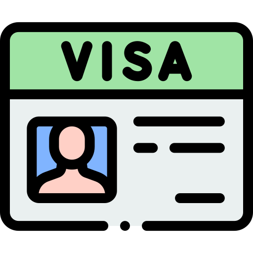 visa Detailed Rounded Lineal color Icône