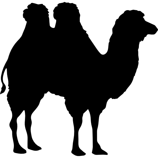 kształt wielbłąda  ikona