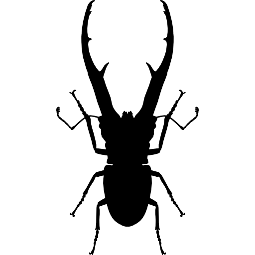 forma de escarabajo insecto chalcosoma  icono