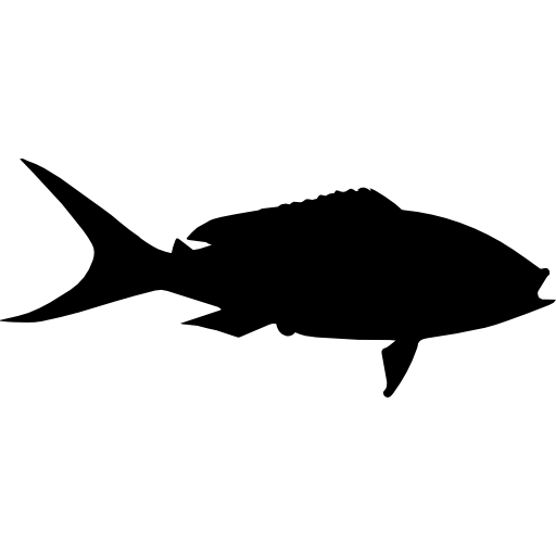 Yellowtail fish shape  icon