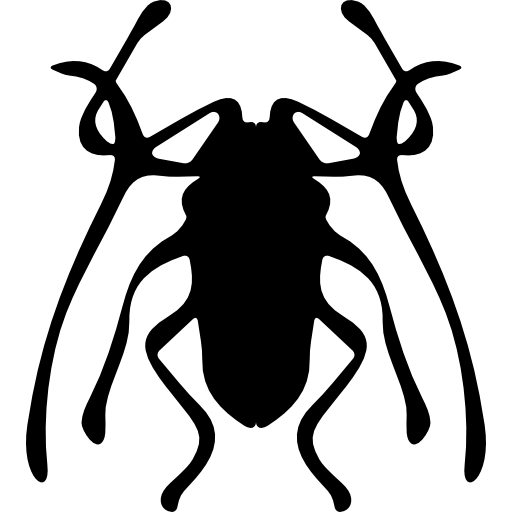insetto coleottero trictenotomidae  icona