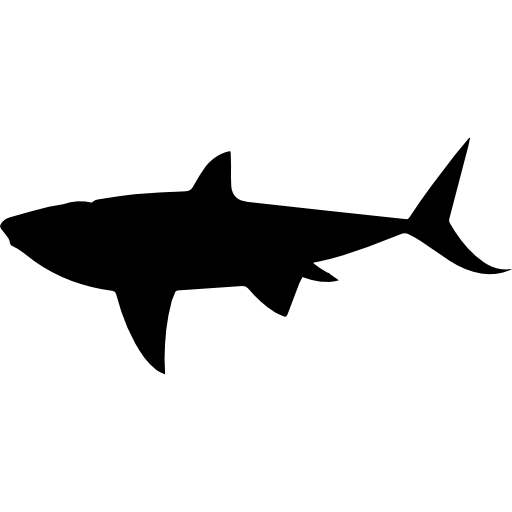 kształt rekina  ikona