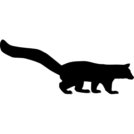 몽구스의 포유류 동물 모양  icon