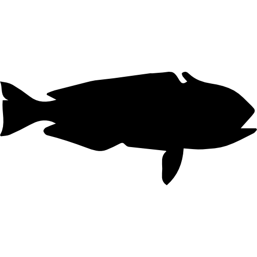 forma de peixe de peixe azulejo  Ícone