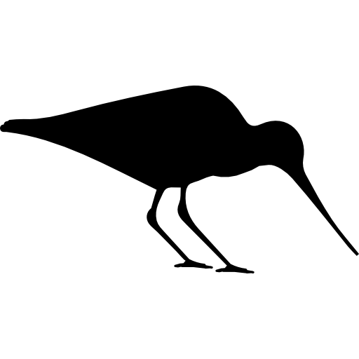 ostrero pájaro  icono
