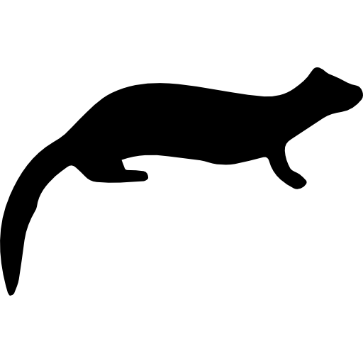 Mammal ferret shape  icon