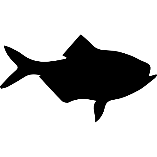 Fish Alfonsino shape  icon