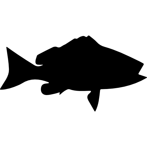 forma di pesce dello snapper pinna nera  icona
