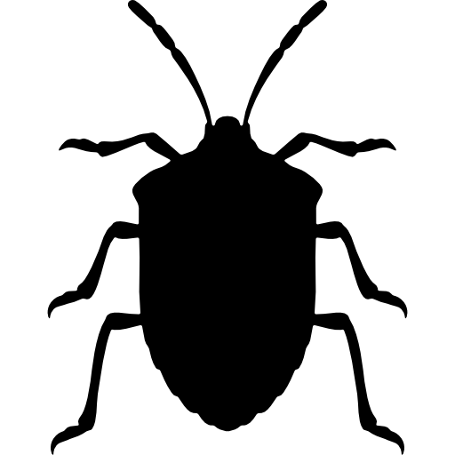 forma di insetto stink bug dalla vista dall'alto  icona