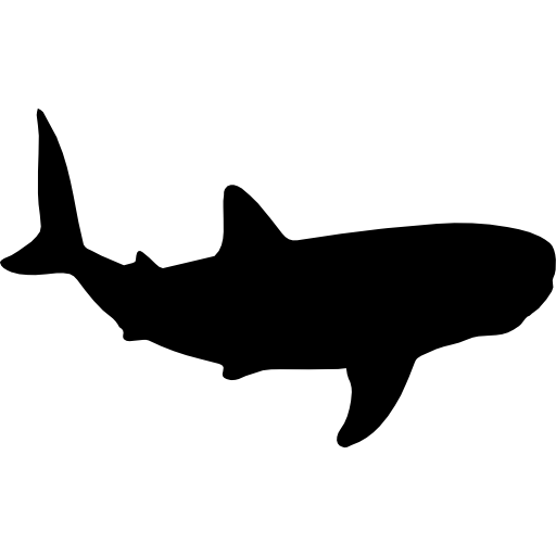 forma de tiburón ballena  icono