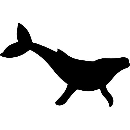 향유 고래 모양  icon