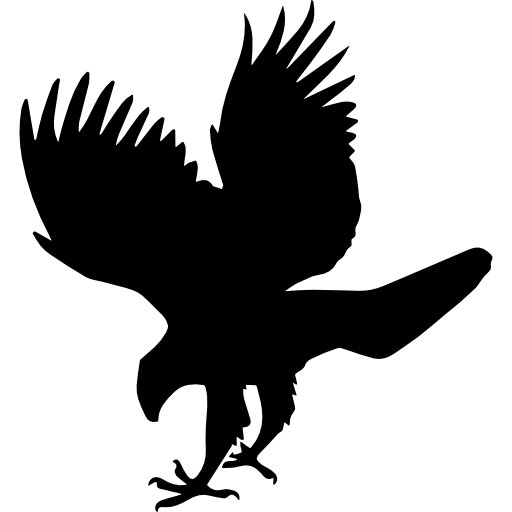 forma animale dell'uccello del falco  icona