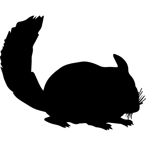 silueta de animal mamífero chinchilla  icono