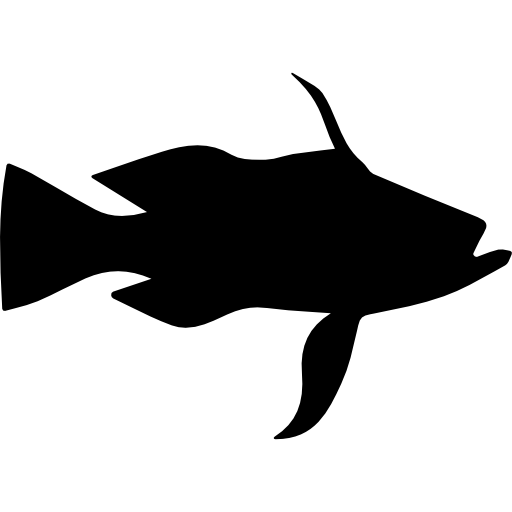 forma de pez lubina de cola larga  icono