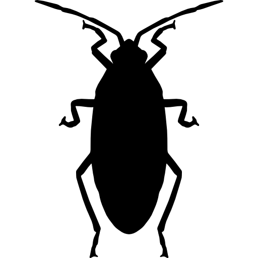 scarafaggio  icona