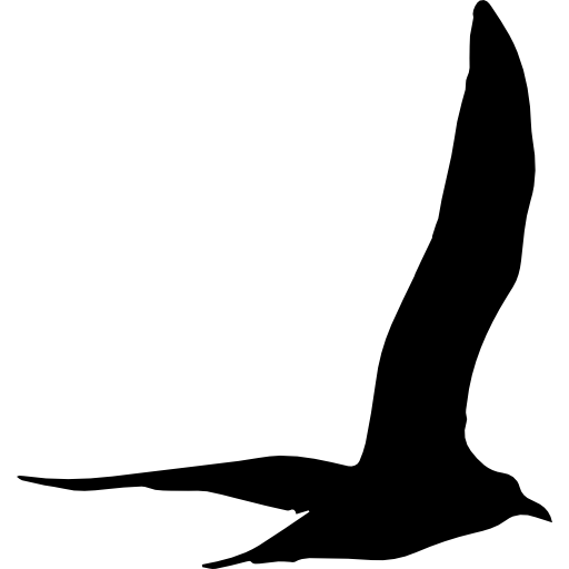 Gull bird flying shape  icon