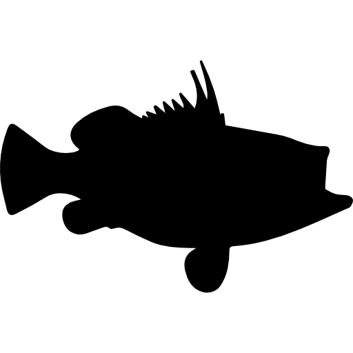 Rockfish shape  icon