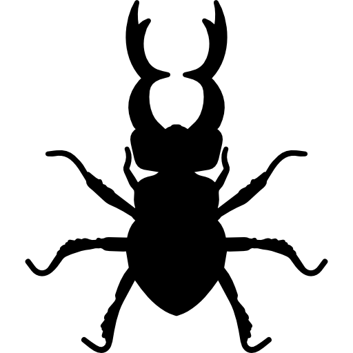 Stag beetle insect animal shape  icon