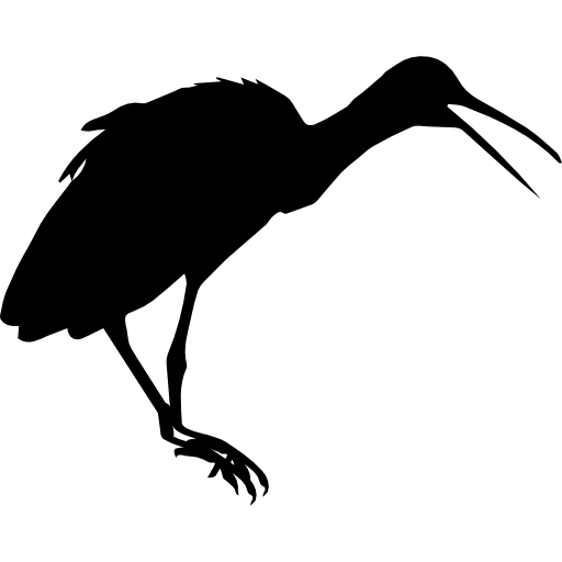 forma de pájaro limpkin  icono