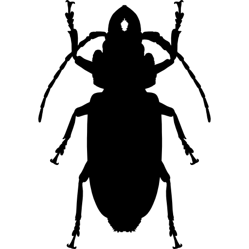 a forma di scarafaggio  icona