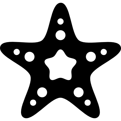 Морская звезда  иконка