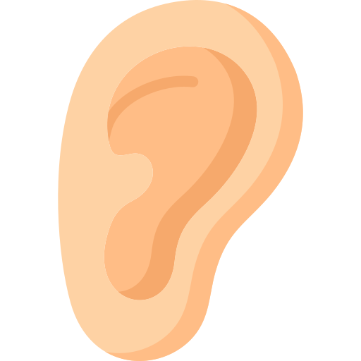 Ear Special Flat icon