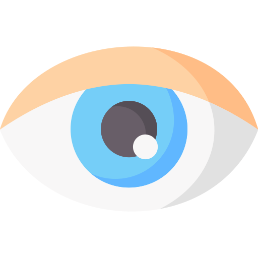 auge Special Flat icon
