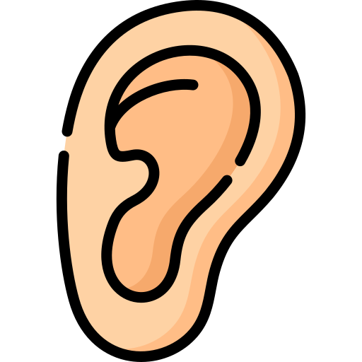 耳 Special Lineal color icon