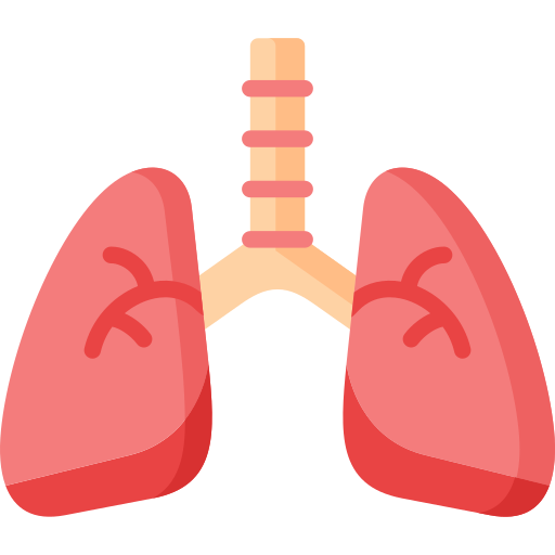 Lungs Special Flat icon