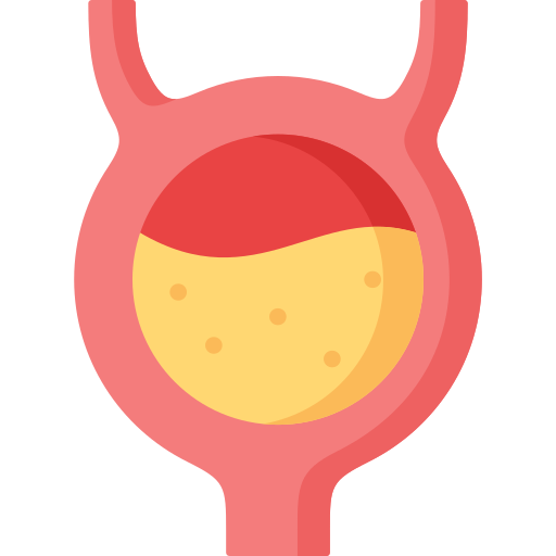 膀胱 Special Flat icon