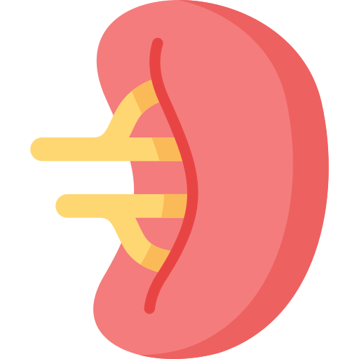 Spleen Special Flat icon