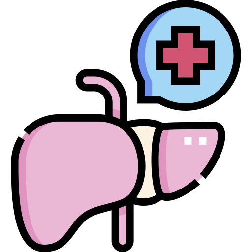 肝臓 Detailed Straight Lineal color icon