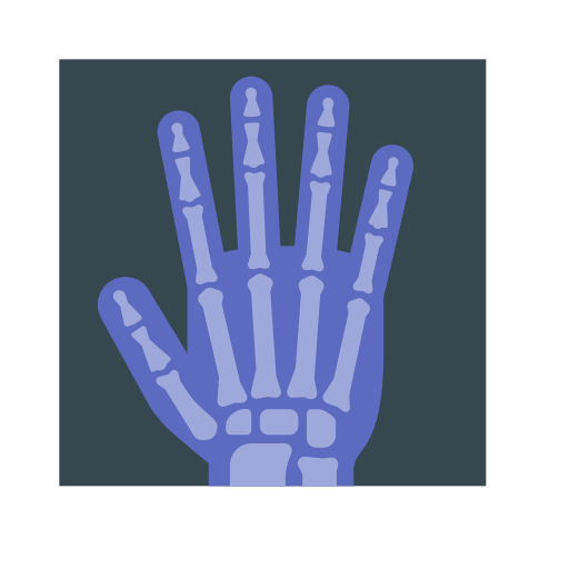 röntgen Generic Flat icon