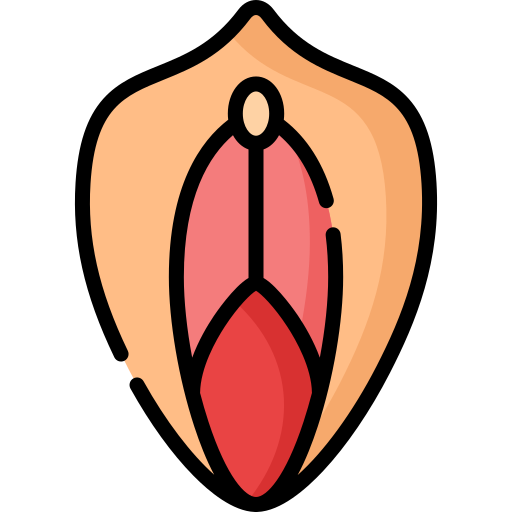 Vagina Special Lineal color icon